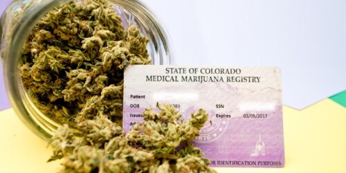 Medical vs. Recreational Cannabis 1