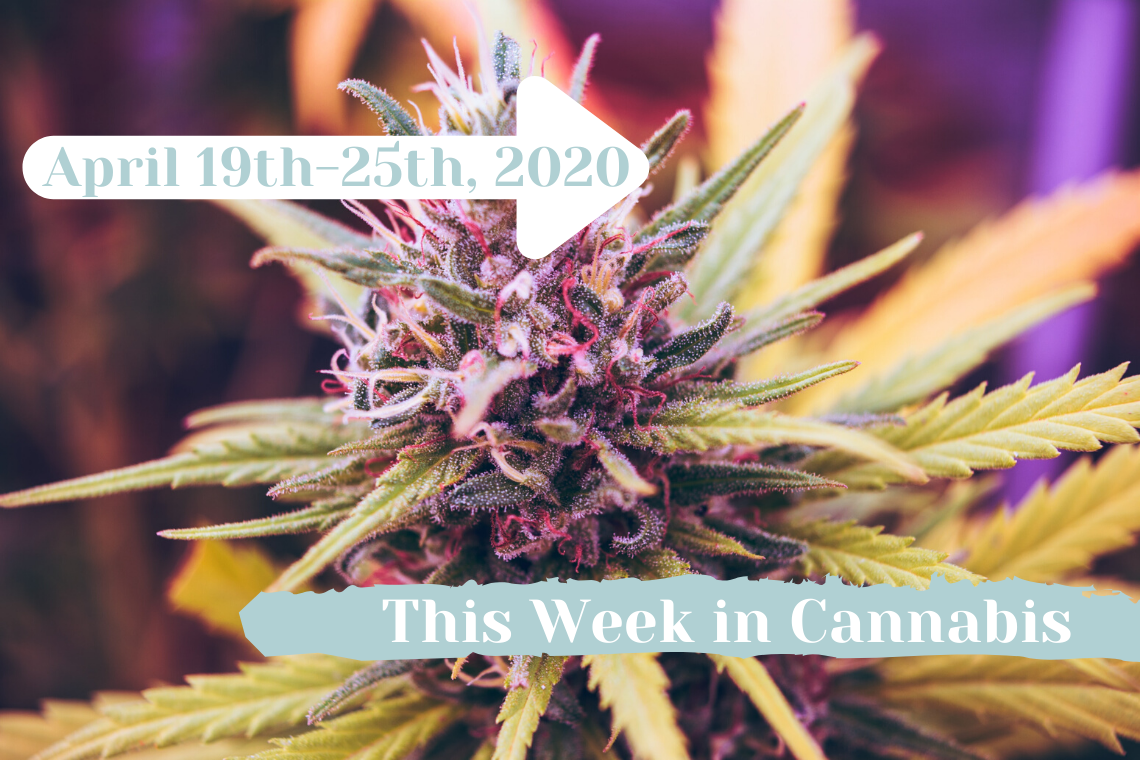 this week in cannabis