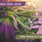 This Week in Cannabis