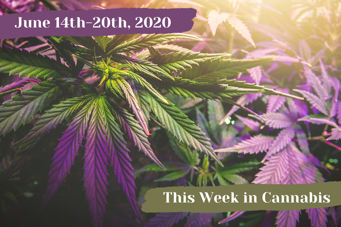 This Week in Cannabis