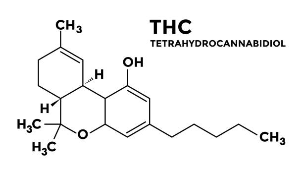 THC Edibles, THC Molecule
